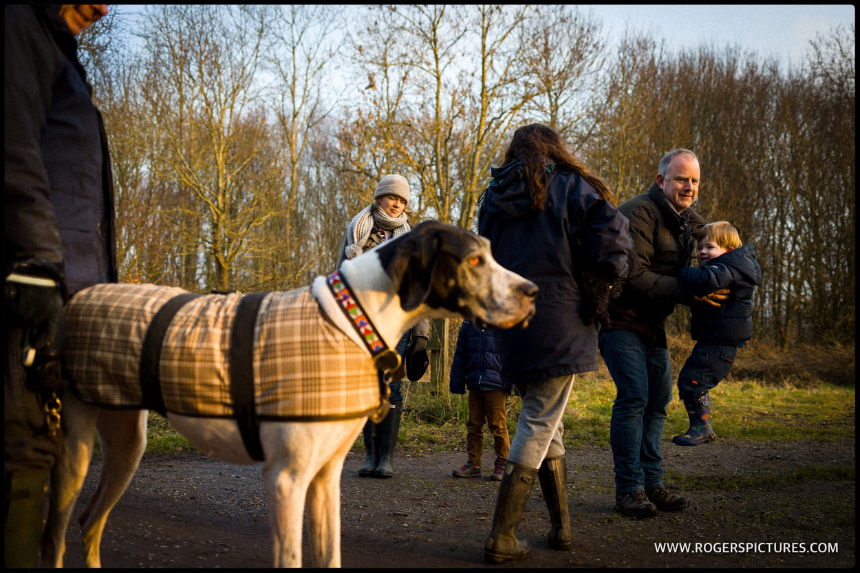 Family meet a big dog