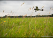 Sopwith Pup at Shuttleworth