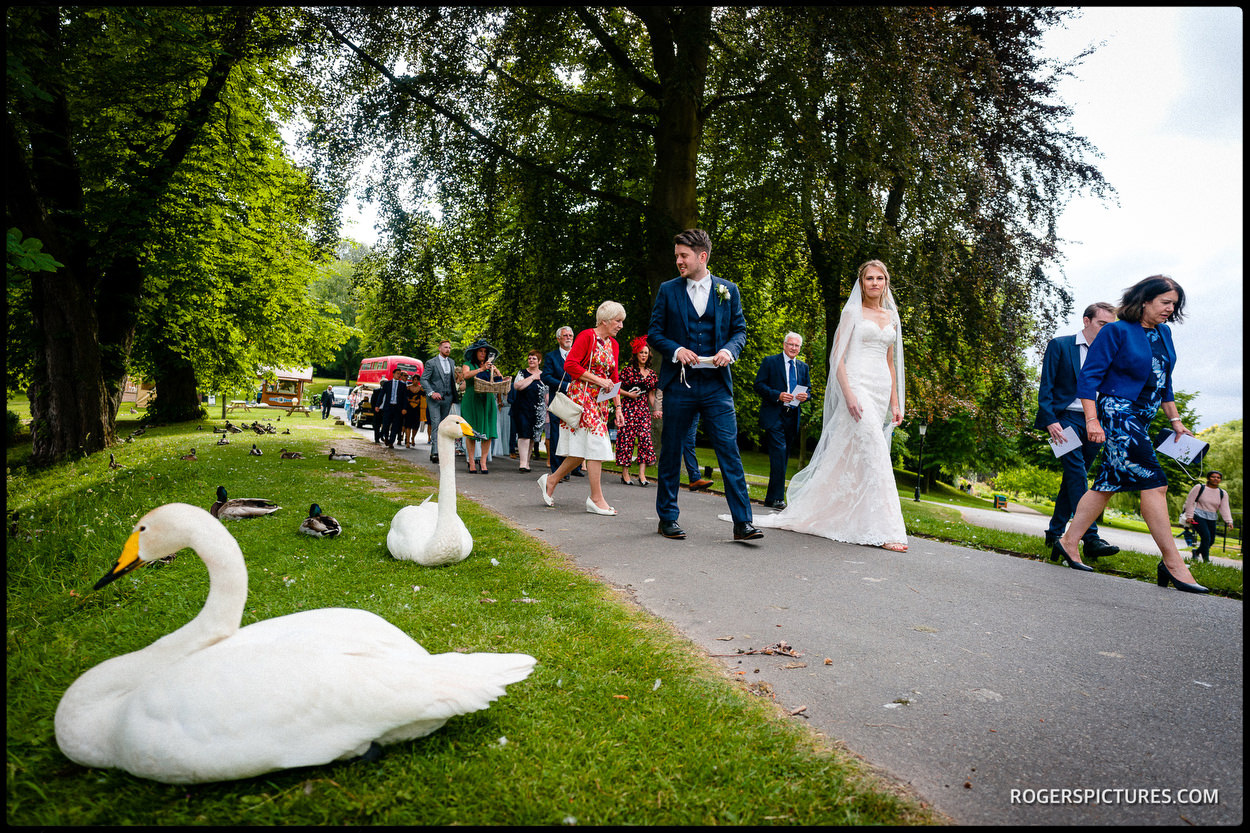 Birde and groom walk past a swan at Leeds Castle