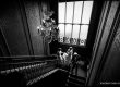 Wedding Photos at Nonsuch Mansion