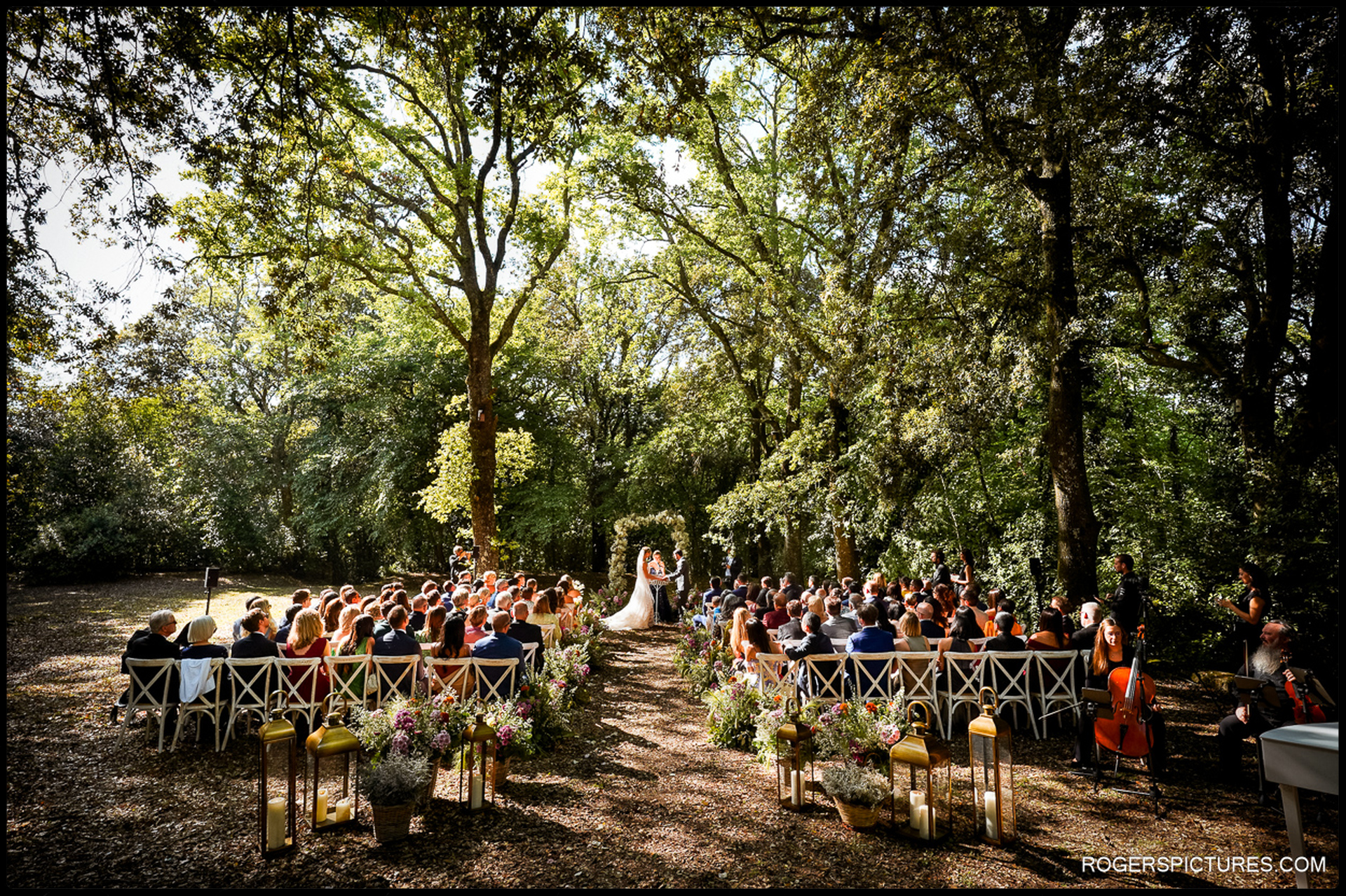Vows Under the Canopy – A panoramic view of the woodland ceremony, as the couple stands before their gathered friends and family, sunlight filtering through the trees.