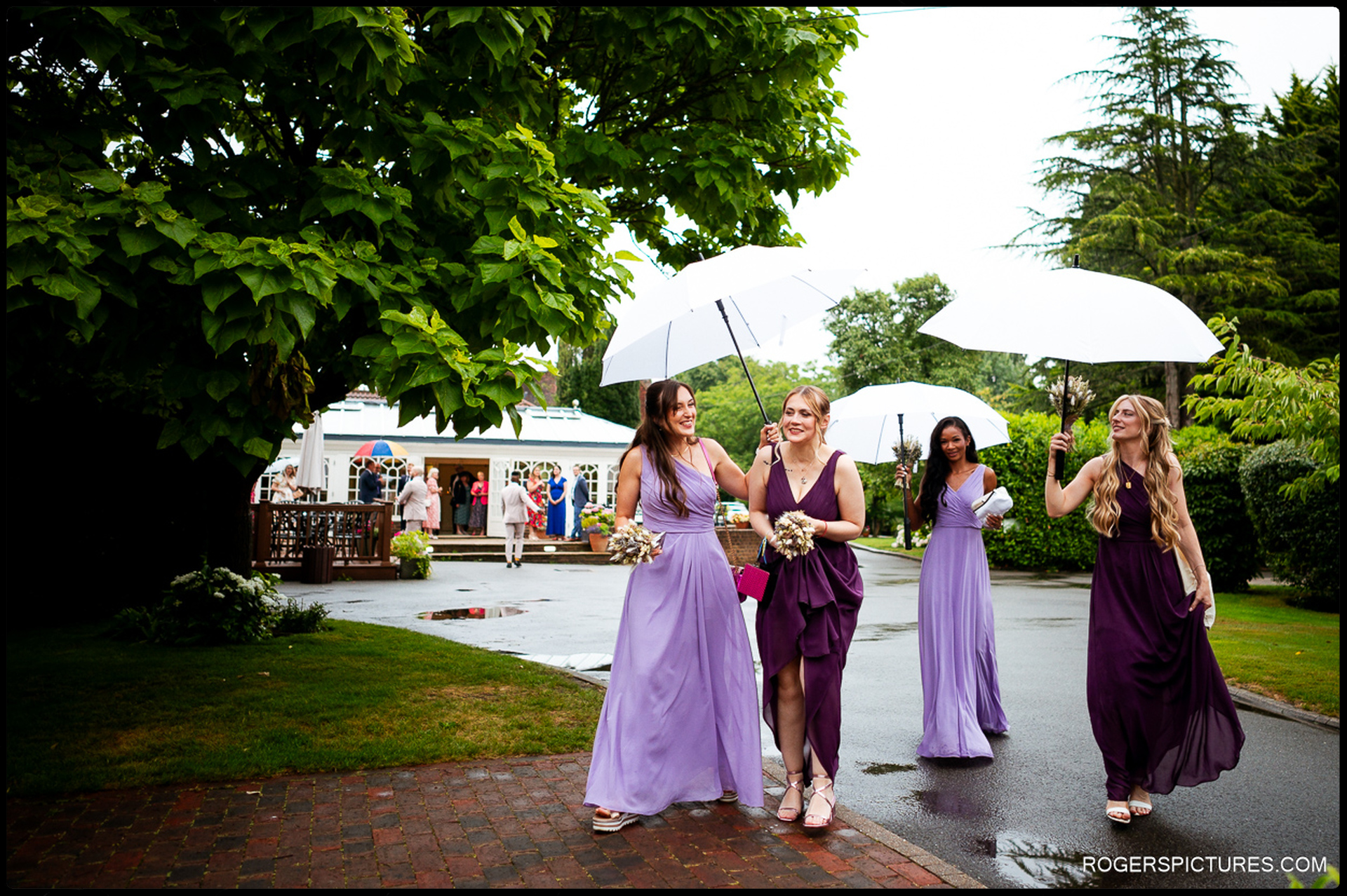 Bridesmaids in purple dresses walking outside with white umbrellas on a rainy wedding morning.